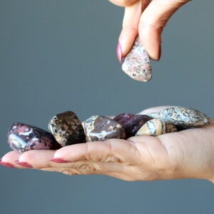 Leopard Jasper Tumbled Stones Spots of Joy Red Yellow Crystal