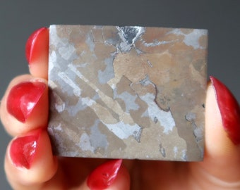 Campo Del Cielo Meteorito Espacio Mirando Espejo De Hierro