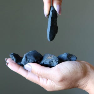 Shungite Raw Stone Shake Your World Crystal