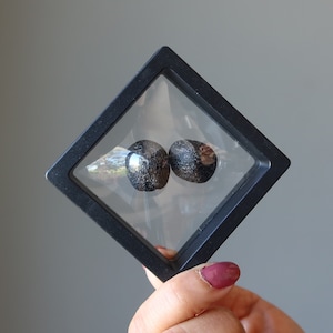 Black Tektite Round Protection Stone Real Space Pair Set