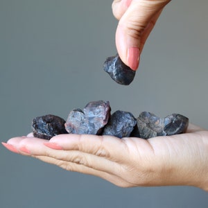 Hematite Raw Crystal Set Rule with an Iron Ore Fist 7 Power Rocks