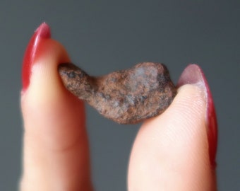 ムンドラビラ鉄隕石標本：105.19グラム、オーストラリア、天文学ギフト