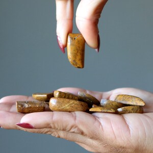 May include: A hand holding a collection of small, smooth, brown and yellow stones. The stones have a mottled pattern and are likely tumbled for a polished finish.