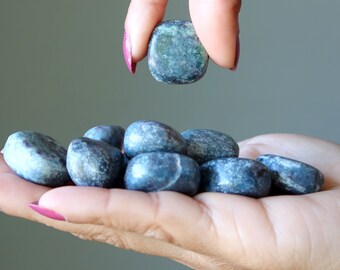 Ruby Kyanite Tumbled Stone Awakened Visions