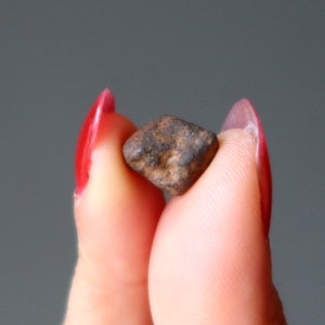 Pode incluir: Uma pequena rocha de cor marrom escura, de forma irregular, é segurada entre dois dedos. Os dedos estão pintados com esmalte de unha vermelho.