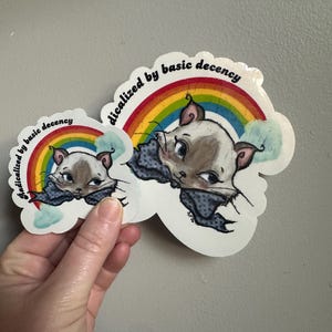 Radicalized by Basic Decency Wasserdichter Vinyl-Aufkleber in zwei Größen Bild 6