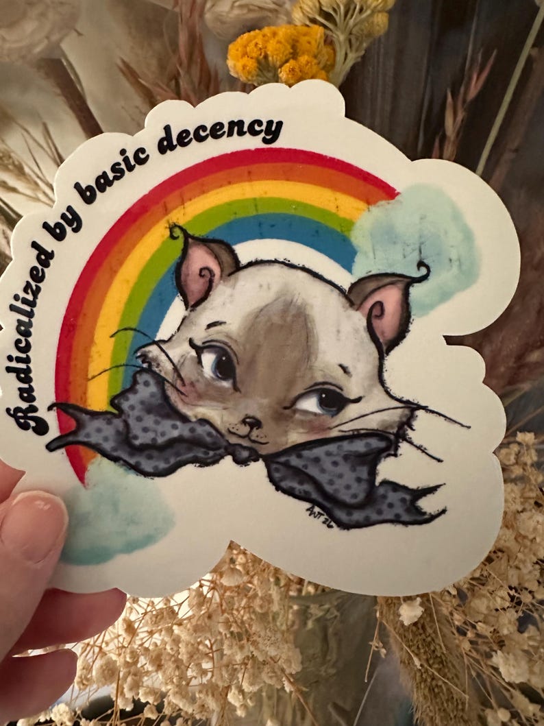 Radicalized by Basic Decency Wasserdichter Vinyl-Aufkleber in zwei Größen Bild 5