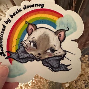 K&ouml;nnte beinhalten: Ein Aufkleber mit einer Cartoon-Katze mit Fliege, vor einem Regenbogen- und Wolkenhintergrund. Der Text "Radicalized by basic decency" ist oben gebogen. Die Katze hat ein hellbraunes und wei&szlig;es Gesicht.