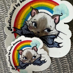 K&ouml;nnte beinhalten: Zwei Aufkleber mit einer Cartoon-Katze mit blauen Augen, einer Schleife und einem Regenbogen. Der Text "radicalized by basic decency" ist um die Katze und den Regenbogen herum angeordnet. Die Aufkleber sind wei&szlig; mit einem wolkenf&ouml;rmigen Rand.
