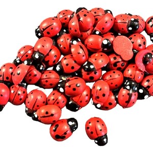 May include: A pile of red and black ladybug-shaped wooden craft embellishments.