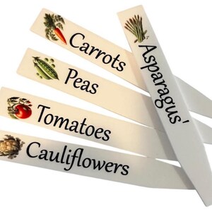 May include: Five white plant markers with black text and illustrations of vegetables. The markers read "Asparagus", "Carrots", "Peas", "Tomatoes", and "Cauliflowers".