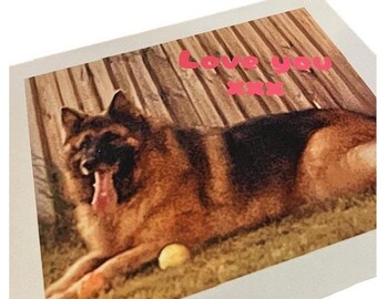 Op de afbeelding: Kleurfoto van een Duitse herdershond die gaapt, met zijn tong uitgestoken. De hond ligt op gras met een kleine gele bal in de buurt. Roze tekst bovenaan luidt "Love You XXX".