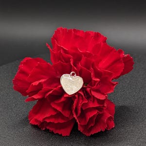 BreastMilk or Cremation Charms