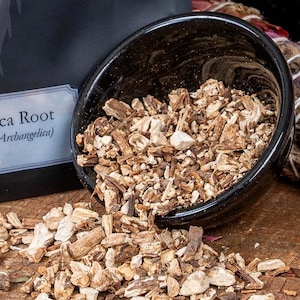 Angelica Root (Angelica Archangelica) | Witchcraft Herbs for Rootwork Green Witches