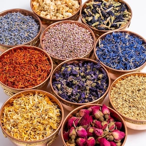 Dried Flowers X 10 Bundle Pack Witchcraft Herbs for Wicca Pagan Craft ...