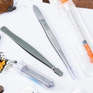 Entomology Pinning & Spreading Insect Tool Kit | Packs of Butterflies ...