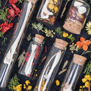 May include: A collection of clear glass bottles with cork stoppers, each containing dried flowers, leaves, and bone fragments. The bottles are arranged on a dark blue textured surface, with a variety of colours including red, yellow, and white.