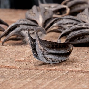 Könnte beinhalten: Nahaufnahme mehrerer dunkelgrauer Wasserkastanien, auch Büffelnüsse genannt, auf einer strukturierten Holzoberfläche. Die Wasserkastanien haben eine einzigartige, stachelige Form und eine dunkle, fast schwarze Farbe.