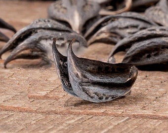 10 Bulk Genuine Bat Head Root: Witchcraft Herb, Devil's Claw
