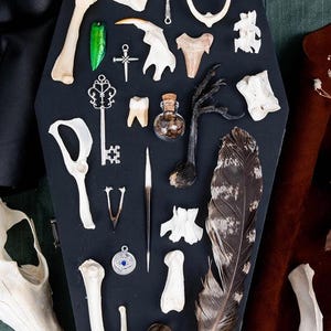 Op de afbeelding: Een zwarte kist in de vorm van een doodskist gevuld met verschillende voorwerpen, waaronder botten, veren, een sleutel, een klein flesje en een schelp. De kist staat op een groene ondergrond.