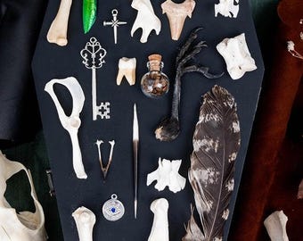 Bone Casting Set with Guide | Osteomancy | Divination Set Bones Teeth Charms