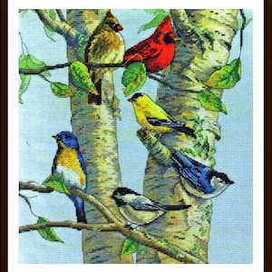 May include: Five colorful birds perched on branches of a birch tree. A red cardinal, a yellow finch, a blue bird, a black-capped chickadee, and a red-breasted cardinal are depicted in the painting.