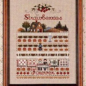 Può includere: Opera d'arte a punto croce in una cornice di legno. Il disegno presenta la parola "Strawberries" sopra una scena dettagliata di una casa, alberi e una recinzione. La parola "Forever" è ricamata in basso.