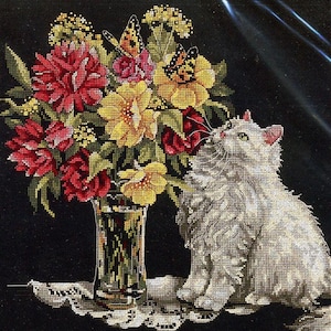 Può includere: Un gatto bianco è seduto su una superficie nera, guardando un bouquet di fiori rossi, gialli e rosa in un vaso di vetro trasparente. I fiori sono disposti su un pizzo bianco.