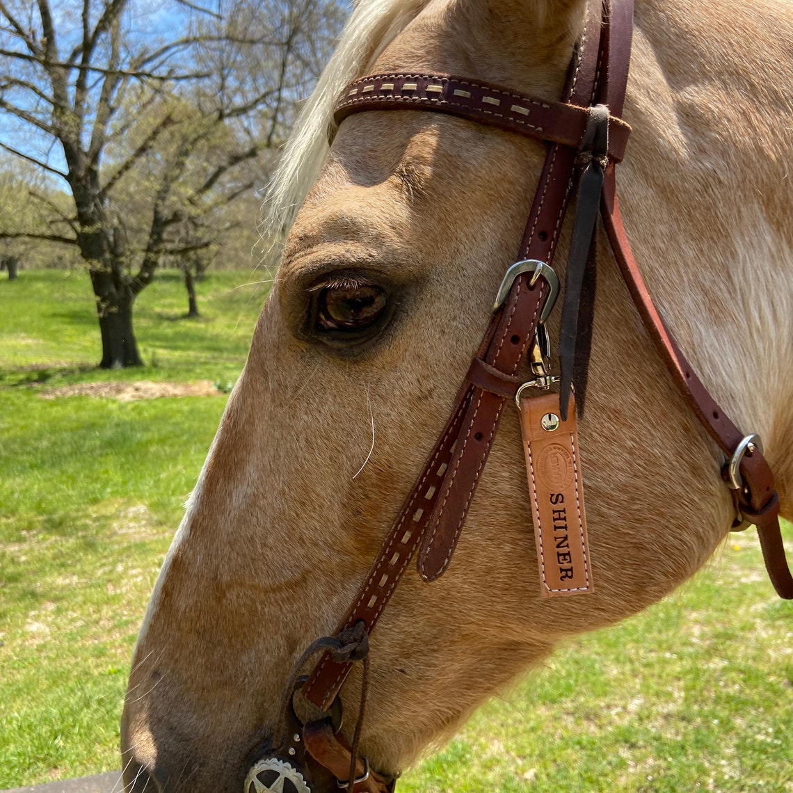 Horse ID Tags Equine identification leather nameplates for Etsy
