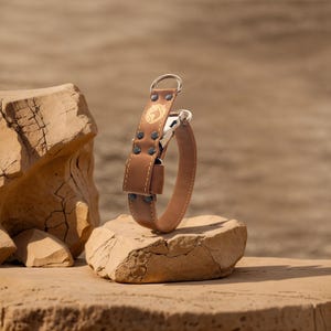 Personalized Brown Leather Dog Collar: Strong Design, Quick Release