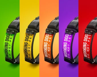 Personalized Leather Working Dog Tag: Custom Pet ID