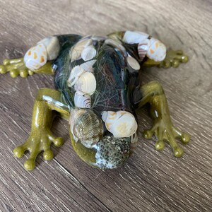 Frog Resin with Shells
