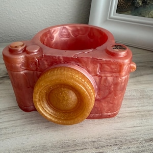 Camera Trinket Holder, Succulent Pot, Knickknacks Organizer