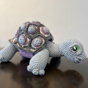 Titan de schildpad