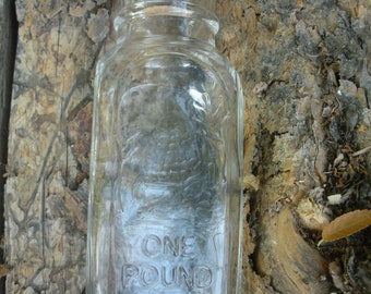 1 lb Honey Jar with Great Bee Hive Graphics