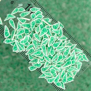 Grüne Muschel Muschel Polymer Clay Sprinkle (NICHT ESSBAR) D33-04
