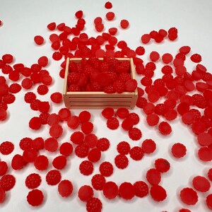 FAKE Tiny Dollhouse Fruits (Blueberry,Strawberry,Orange Slice, Raspberry,Cherry) image 14