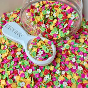 5MM Strawberry Patch Polymer Clay Sprinkle Mix (NOT EDIBLE) D53-15