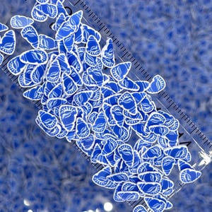 Concha de mar azul falsa de 5 mm para espolvorear con arcilla polimérica (NO COMESTIBLE) D33-05