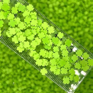 FAUX trèfle à quatre feuilles vert, 5 mm, saupoudré de polymère floral (PAS COMESTIBLE) D36-28