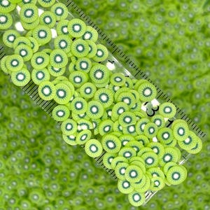 偽造キウイフルーツスライス 5mm ポリマークレイスプリンクル（食べられません）D22-19