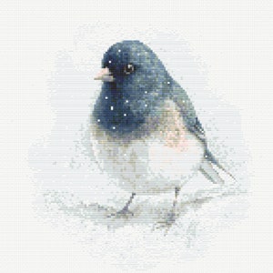 May include: A small, blue and white bird with a dark eye and a black beak stands on a snowy background.