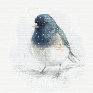 Patrón de punto de cruz de junco de ojos oscuros / PDF de ave cantora de invierno / Diseño de fauna silvestre para el jardín