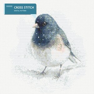 Dark-Eyed Junco Cross Stitch Pattern | Winter Songbird PDF | Backyard Wildlife Design
