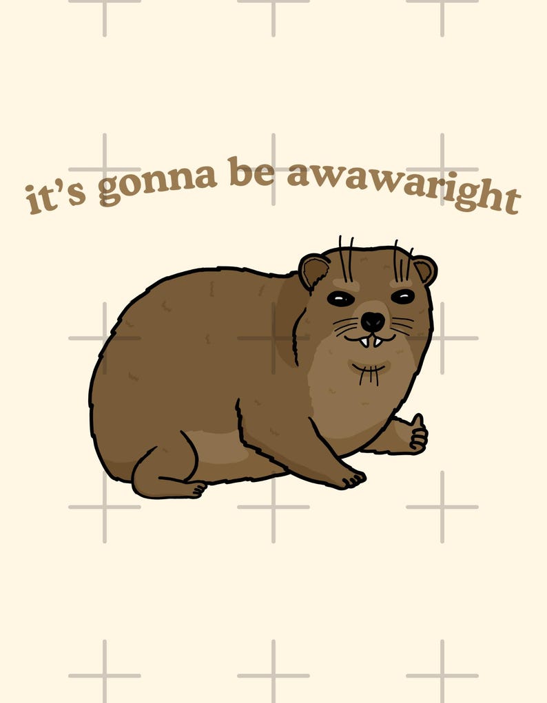 t-shirt with a cute hand-drawn hyrax illustration and the phrase ‘it’s gonna be awawaright’ — funny wholesome animal meme graphic tee.