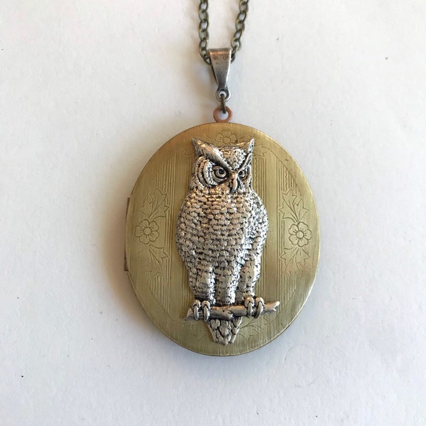 Vintage Owl Locket Necklace, large antique brass locket, long brass chain, women's jewelry, gift for her, vintage keepsake jewelry