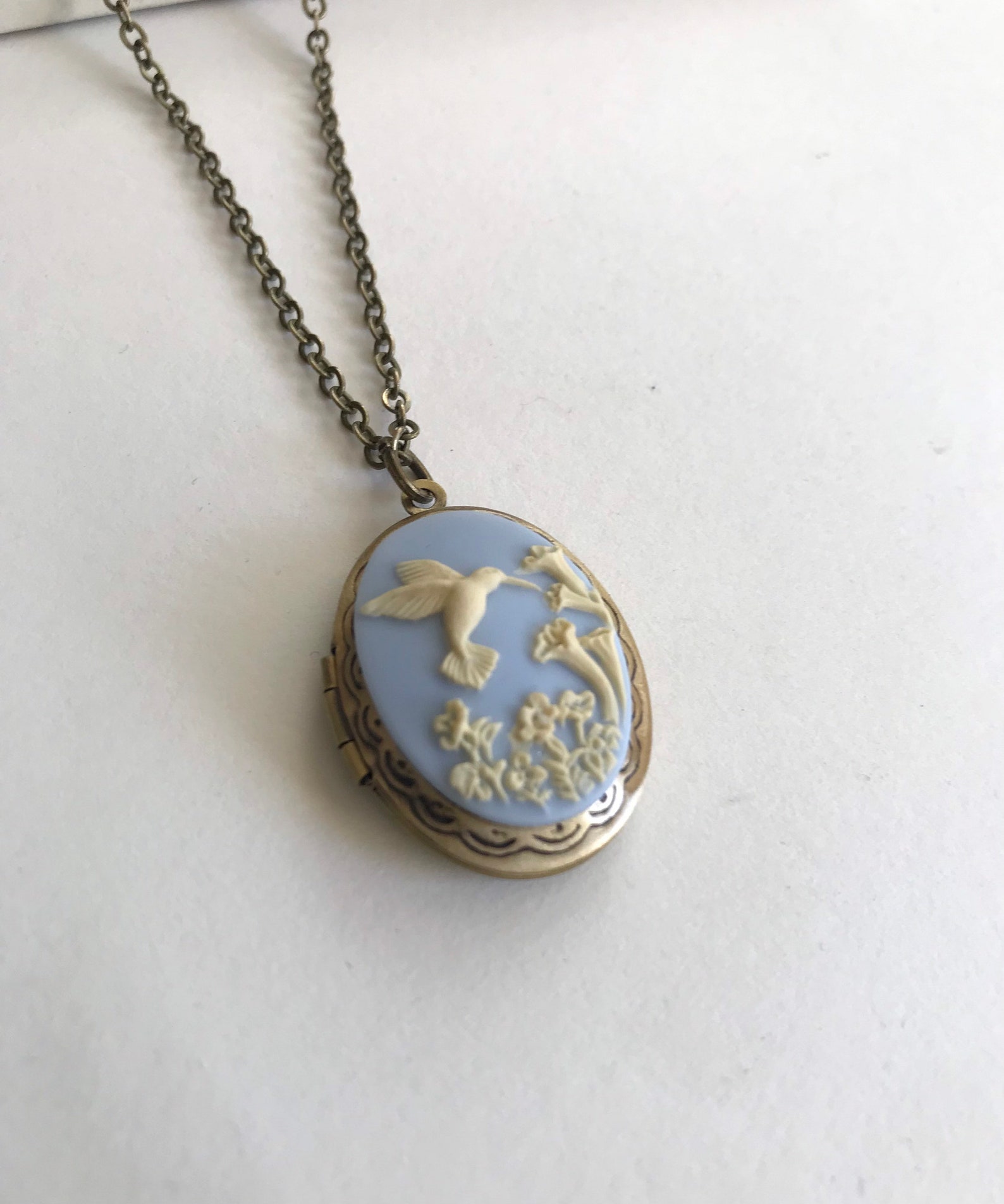 Hummingbird Cameo Locket Necklace Blue Cameo Bird Necklace - Etsy