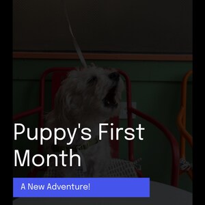 30-Day Puppy Training Guide PDF | New Dog Owner Printable | Crate, Potty, Bonds Beyond.