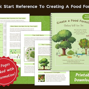 Abundant food for life! Quick reference to create a food forest starting with one tree and growing it as small or big as you like.