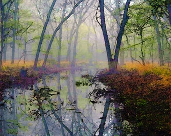 Autumn, Forest, Water, Pond, Trees, Landscape, Nature Photograph, Fine Art Painted Photograph, Giclee Print